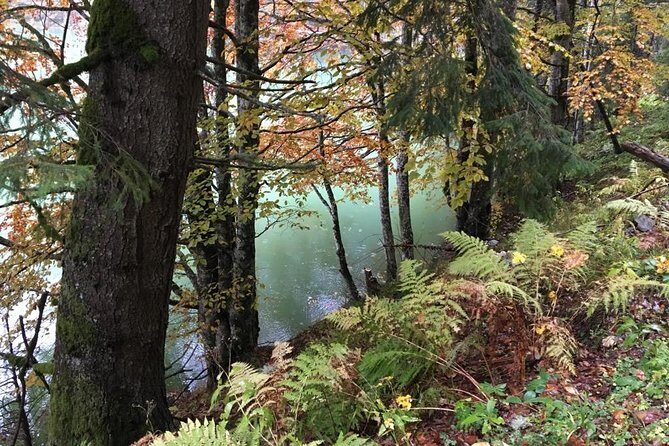 1 Day 4x4 Tour in Carpathian Mountains - Who should book this Bucegi 4x4 day—and who should look elsewhere