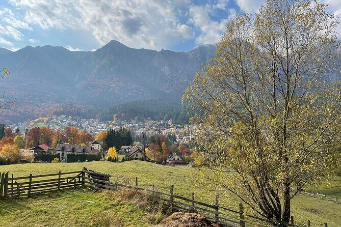 1 Day ATV Tour in Carpathian Mountains - Price and logistics: is $228.29 worth your time?