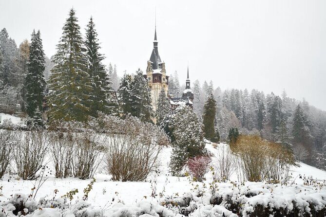 1 Day Castles Tour - Sinaia and Bran - How the Professional Guide Makes the Castles Click