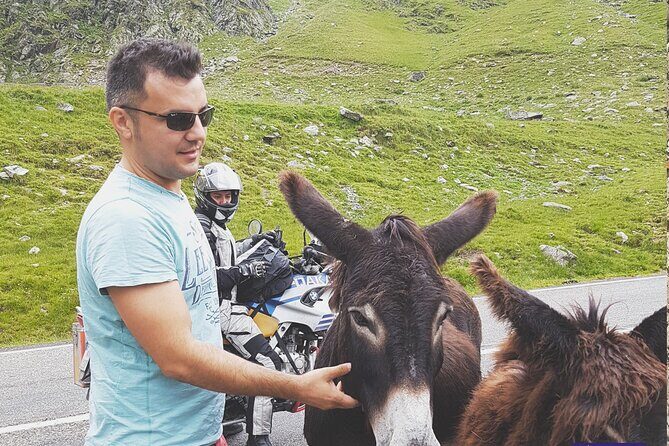 10-Day Private Tour of Romania with Pick Up - Day 7: The Bukovina Painted Monasteries Run (Voroneț, Humor, Sucevița, Moldovița)