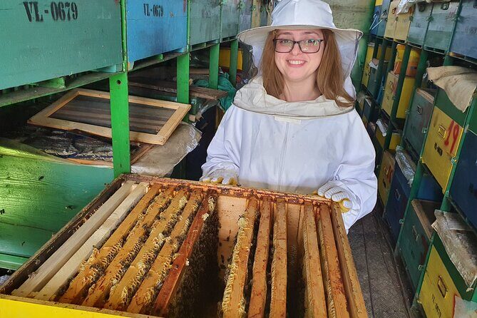 10 hours Private Apiary Tour in Romania - From Bucharest - Leaving Bucharest: the countryside drive that sets the mood