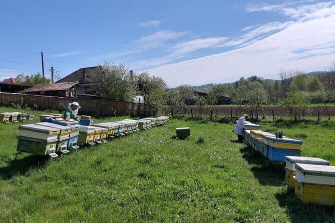 10 hours Private Apiary Tour in Romania - From Bucharest - Curtea de Argeș Monastery: a meaningful break on the way