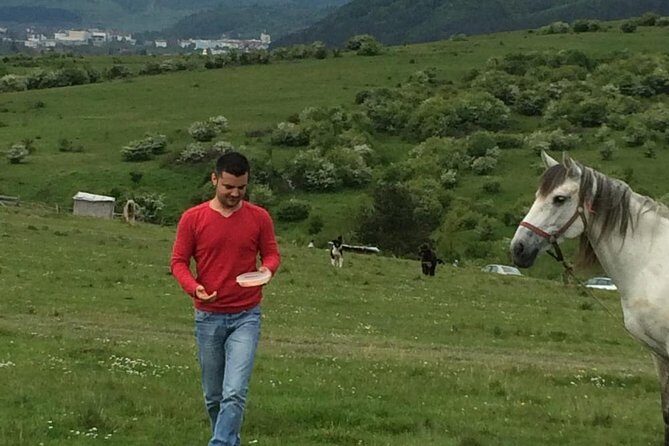 2 Days Private Tour Transfagarasan Road & Sibiu from Bucharest - Should You Book It? My Practical Recommendation