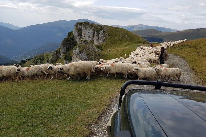 4x4 Driving Experience at Flying Altitudes - 7 Days - Brasov Old Town and the Black Church Before the Airport Run