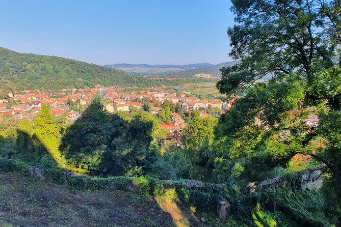6 Days Private Tour in Romania Spectacular Places from Bucharest - Day 2: Brasov Old Town Break, Bran Castle, and Rupea’s Fortress Walls
