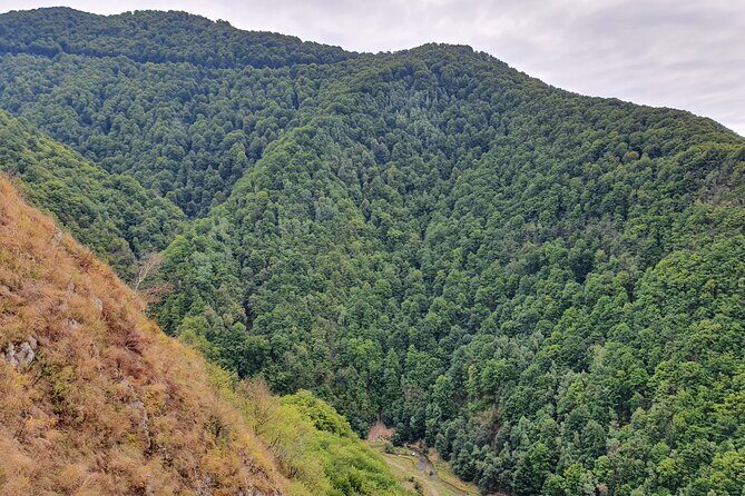 6 Days Private Tour in Romania Spectacular Places from Bucharest - Day 6: Transfăgărășan’s Road Views, Poienari’s 1400 Steps, and Sibiu’s Squares