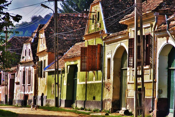 7-Day Private Tour of Transylvania from Bucharest - Private tour value: what you’re really paying for