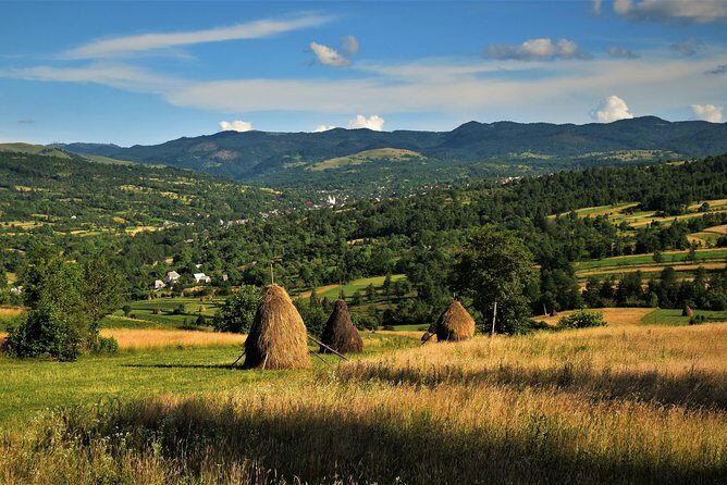 A Journey Back in Time: Countryside from Transylvania and Maramures - 15 Days - Bran Castle, Rasnov Citadel, and a bear sanctuary day