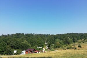 Bear Sanctuary and Dracula's Castle, 1-day Private Tour - Comfort breaks, pickup, and the long drive to Transylvania