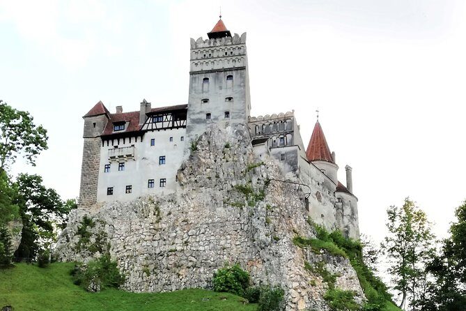 Bear Sanctuary and Dracula's Castle, 1-day Private Tour - Price and logistics: is this private tour actually good value?