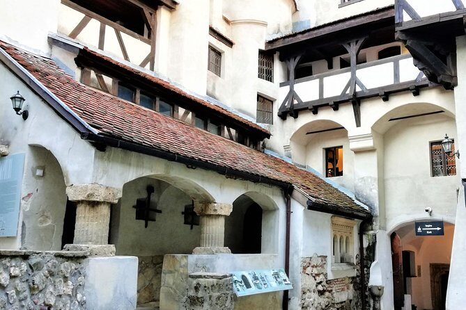 Bear Sanctuary and Dracula's Castle, 1-day Private Tour - Who this tour is best for (and who should skip it)