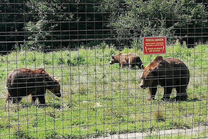 Bear Sanctuary and Dracula's Castle, 1-day Private Tour - Guides and the feel of the day: what you gain from private attention