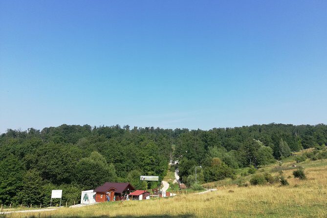 Bear Sanctuary and Dracula's Castle, 1-day Private Tour - Comfort breaks, pickup, and the long drive to Transylvania