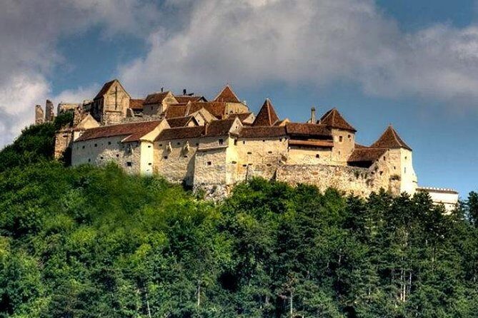 Bear Sanctuary & Rasnov Fortress - Private day tour from Bucharest - Should you book the Bear Sanctuary & Rasnov Fortress private day tour?