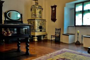Bears Sanctuary, Dracula's Castle and Brașov City - Private Tour - Private comfort and the 12-hour reality check