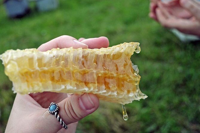 Beekeeping Day Trip| Private Guided Tour from Bucharest - From Bucharest to Valcea County: a long day with a calm payoff