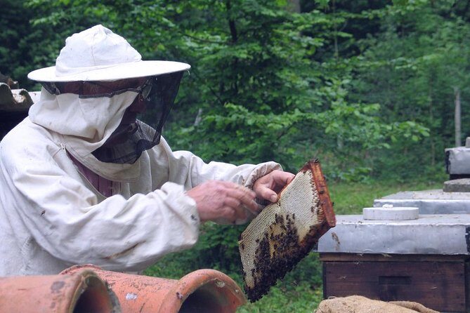 Beekeeping Day Trip| Private Guided Tour from Bucharest - Honeybee products for dessert: what you should taste (and why)