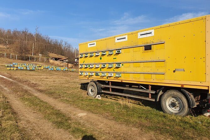 Beekeeping Day Trip| Private Guided Tour from Bucharest - Who should book this beekeeping day trip from Bucharest?