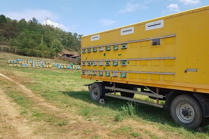 Bees Adventure in Romania - Private Day Trip from Bucharest - Romanian Lunch in the Countryside: Traditional Food and Ecological Sourcing