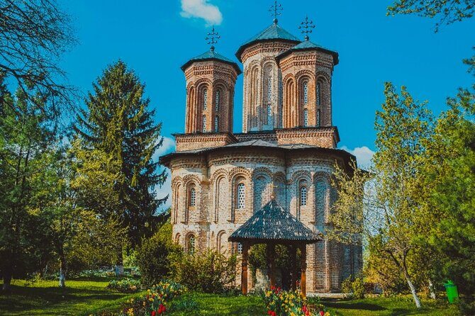 Bison Sanctuary, Vlad the Impaler Princely Court & Dracula Grave - The Neagra bison reserve: big animals, big space, simple payoff
