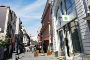 Bucharest 3-hours Walking Tour (Small Groups) - St. Anthony’s Church and Curtea Veche ruins: Dracula links explained