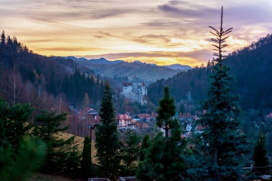 Bucharest: Bran Castle and Bear Sanctuary Small-Group Tour - Key things I think you should know