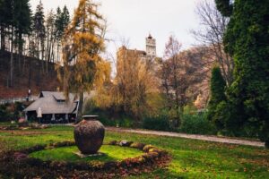 Bucharest: Bran Castle and Bear Sanctuary Small-Group Tour - The Carpathian Drive: Scenic Stops Without the Big-Bus Chaos