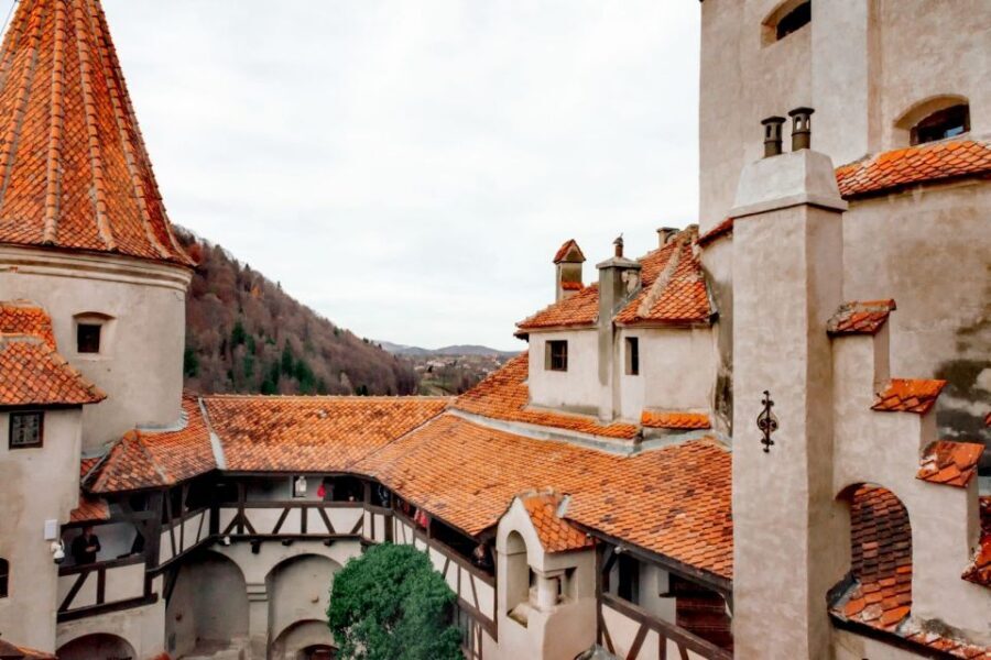 Bucharest: Bran Castle and Bear Sanctuary Small-Group Tour - Who This Tour Suits Best (and Who Should Skip It)