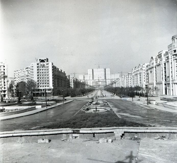 Bucharest Communism: From Lenin to Ceausescu - The Romanian Athenaeum: culture, identity, and propaganda pressure