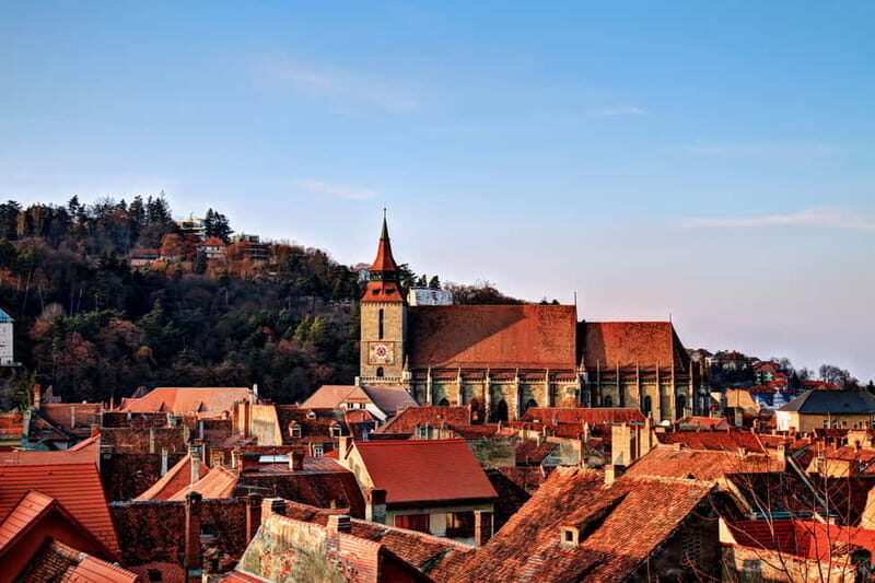 Bucharest: Day Trip to Bear Sanctuary, Bran Castle & Brasov - From Bucharest to the Carpathians: the ride that sets the tone