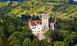 Bucharest: Day Trip to Bear Sanctuary, Bran Castle & Brasov - Libearty Bear Sanctuary in Zărnești: rescued bears, close enough to matter