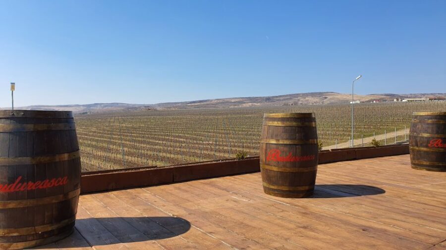 Bucharest: Dealu Mare Winery Private Trip with Wine Tasting - Private Transfer From Bucharest: Easy Start, Real Time Savings