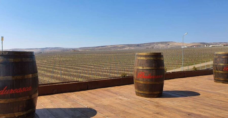 Bucharest: Dealu Mare Winery Private Trip with Wine Tasting - Dealu Mare Views on the Way: Worth Looking Out the Window