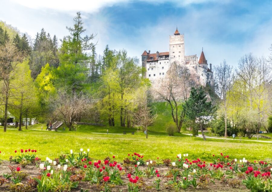 Bucharest: Dracula Castle, Peles Castle & Brasov Guided Tour - Key highlights to know before you go