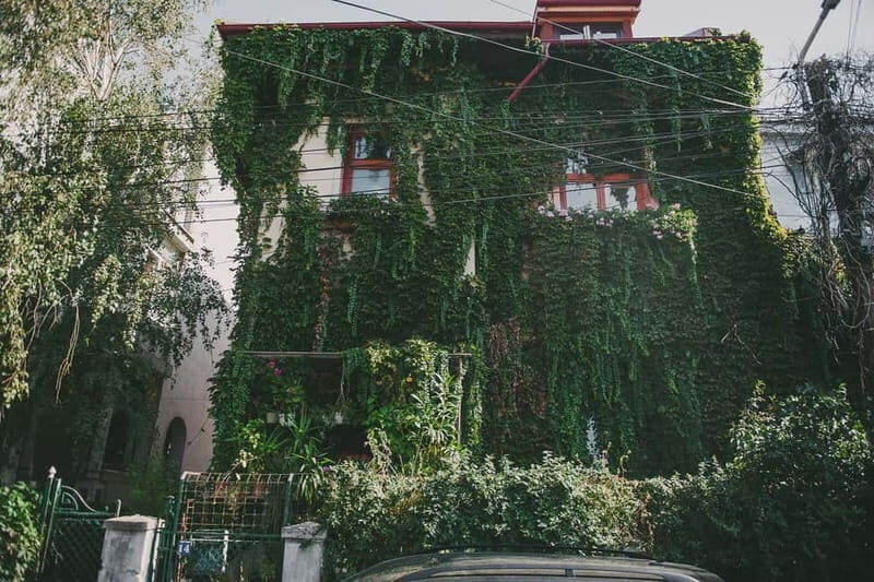 Bucharest: Hidden Gems 2.5-Hour Walking Tour - What to bring and how to pace your day