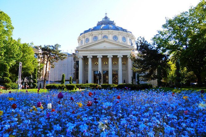 Bucharest Layover Tour (6 - Hour Private City Tour Between Flights) - Key things that make this layover tour work