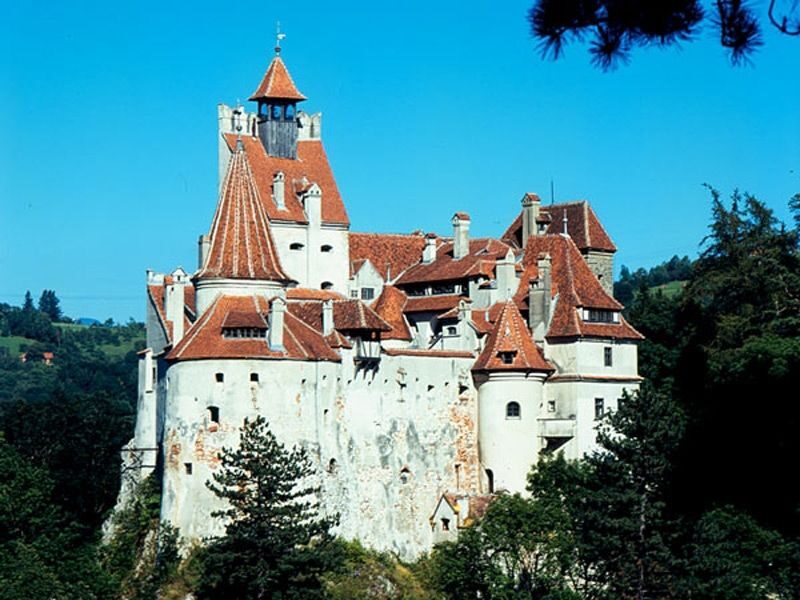 Bucharest: Peles Castle, Dracula's Castle and Brasov Tour - Bucharest to Transylvania: the full-day rhythm