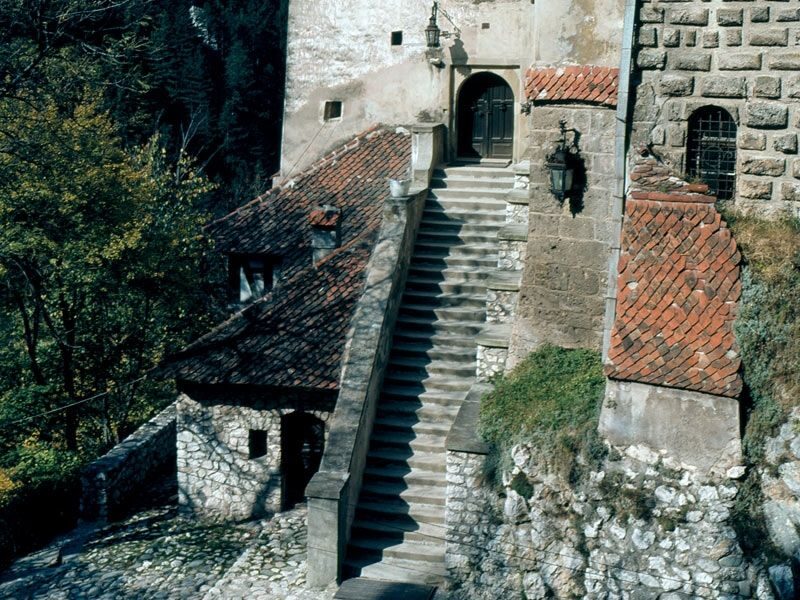 Bucharest: Peles Castle, Dracula's Castle and Brasov Tour - Who this tour suits best