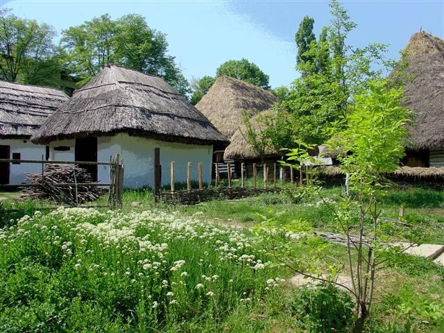 Bucharest: Private City Tour Guided Experience - Key highlights worth your attention