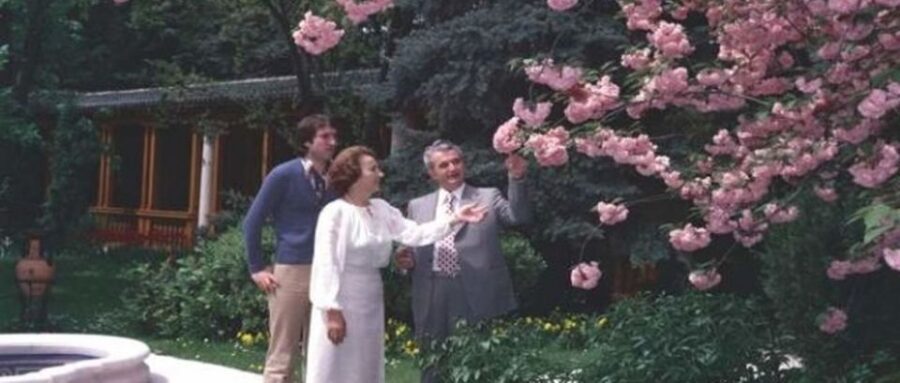 Bucharest: Private Last Days of Ceausescu Tour in a Dacia - Detained, Judged, Executed: Where the Story Ends (Partially)