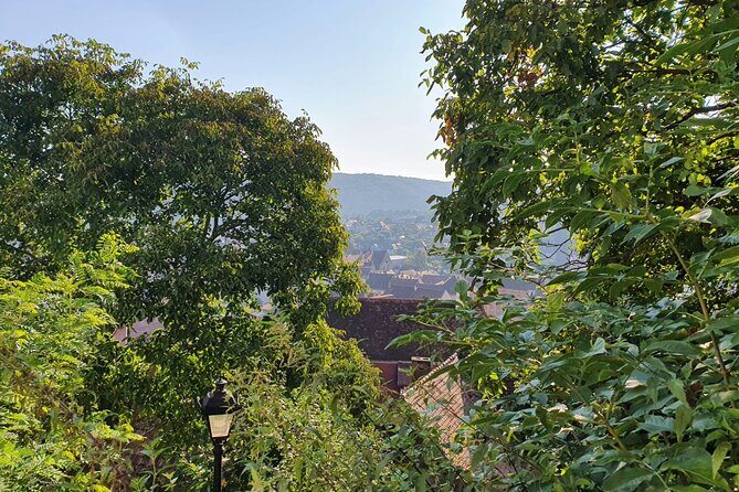 Bucharest Private Tour with Dracula's Grave and Ceaușescu Mansion - Key highlights worth clocking before you go