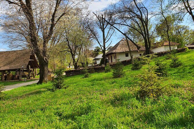 Bucharest Private Tour with Dracula's Grave and Ceaușescu Mansion - Price and value: what $174.53 per person really buys