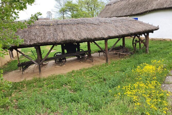 Bucharest Private Tour with Dracula's Grave and Ceaușescu Mansion - National Village Museum: Romanian homes, beliefs, and backyard sustainability