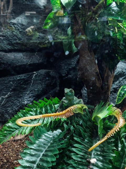 Bucharest: Reptiland Bucharest Entry Ticket - Reptiland Bucharest at the Expo Building: show your ticket and start
