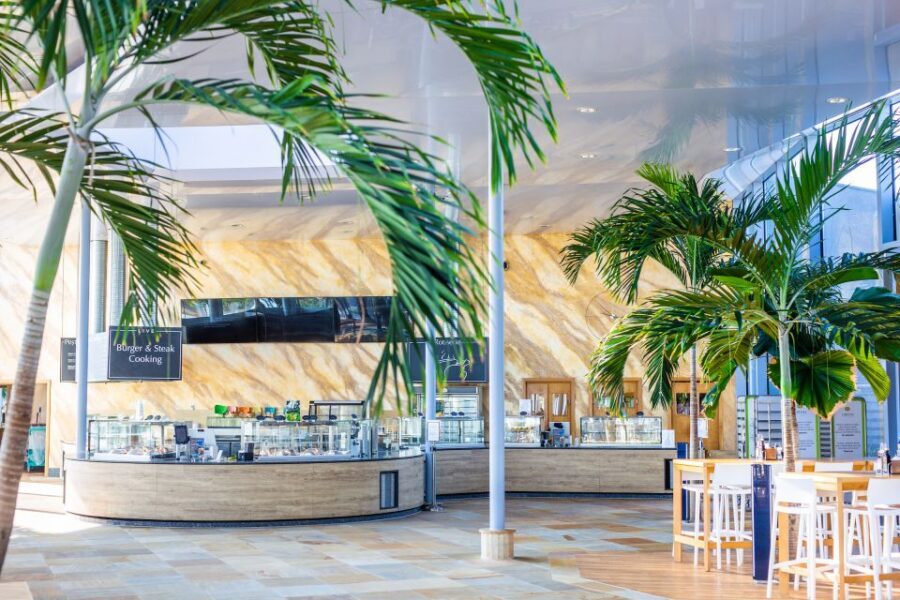 Bucharest: Therme Bucharest Entry Ticket and Transfer - Galaxy and The Palm: two zones, two moods