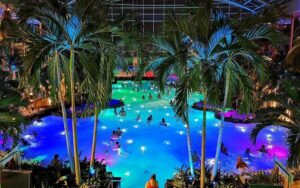 Bucharest: Therme Bucharest Spa Day with Luxury Transfer - Therme Bucharest access: what you’re actually paying for