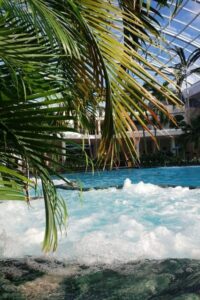 Bucharest: Therme Night Show Ticket with Transfer - Getting There: Transfer from Grand Hotel Bucharest