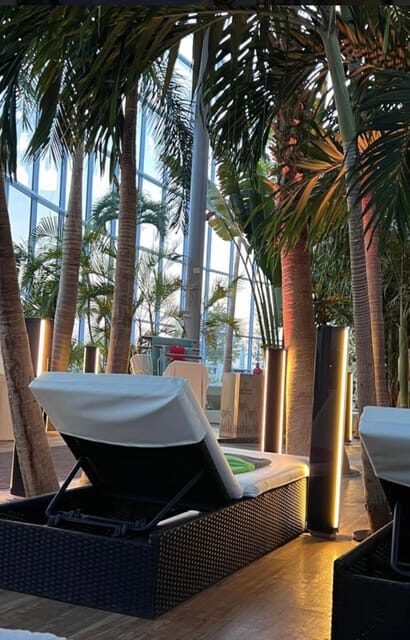 Bucharest: Therme Night Show Ticket with Transfer - Practical Tips so You Don’t Lose Time