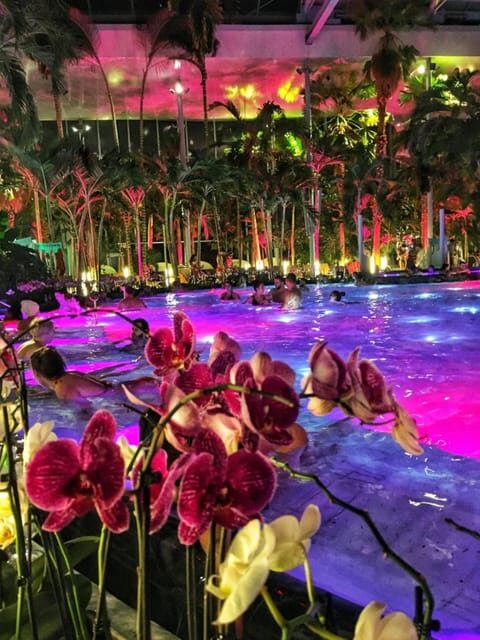 Bucharest: Therme Spa Night Experience with Transfer - Key highlights worth caring about