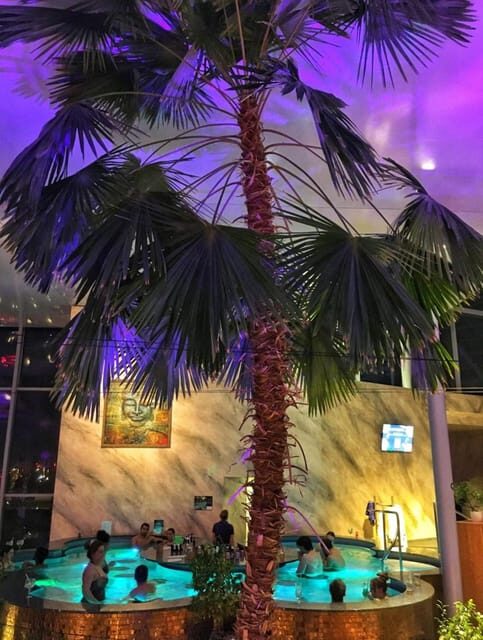 Bucharest: Therme Spa Night Experience with Transfer - Entering Therme Bucharest after dark: why the Palm grove is the star